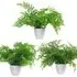 Fern Artificial Plant in Pot 30cm 3 Pack - Green