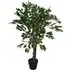 Ficus Artificial Plant - Green