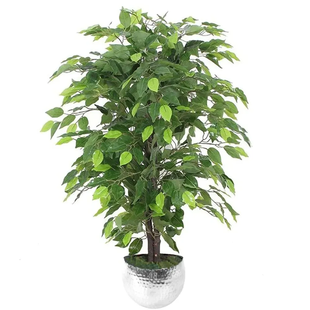 Ficus Artificial Plant with Silver Planter - Green
