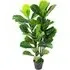 Ficus Lyrata Artificial Plant - Green