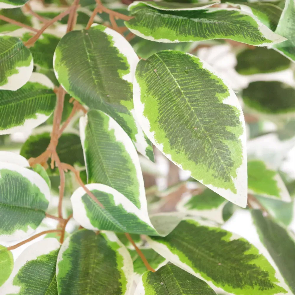 Ficus White Edge Artificial Tree in Pot 130cm - Green