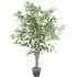 Ficus White Edge Artificial Tree in Pot 130cm - Green