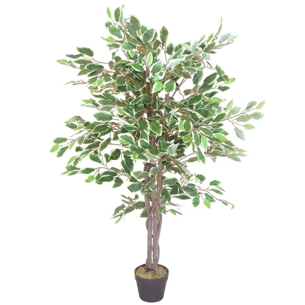 Ficus White Edge Artificial Tree in Pot 130cm - Green