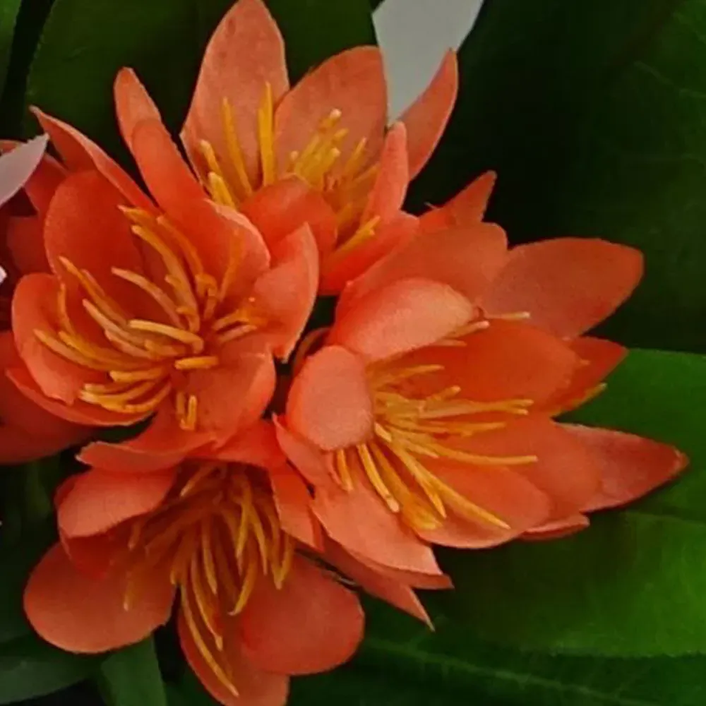 Freesia Artificial Plant 3 Pack - Green