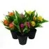 Freesia Artificial Plant 3 Pack - Green