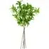 Hainan Elaeocarpus Artificial Stem 6 Pack - Green