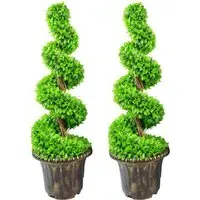 Large Spiral Topiary Trees with Planters 90cm 2 Pack - Green