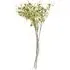 Mini Orchid Artificial Flowers 6 Pack - Cream