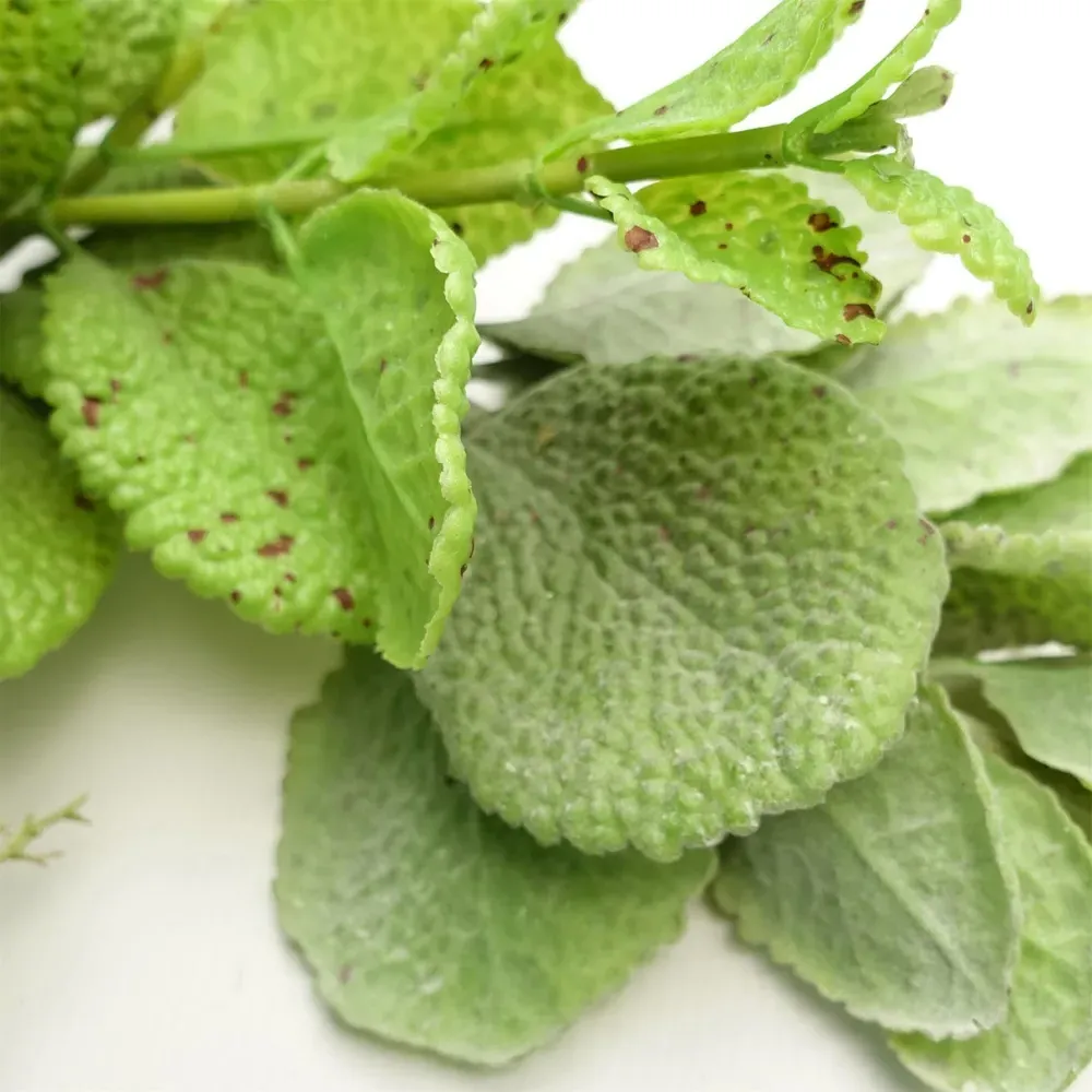 Mint Leaf Hanging Artificial Garland 125cm - Green