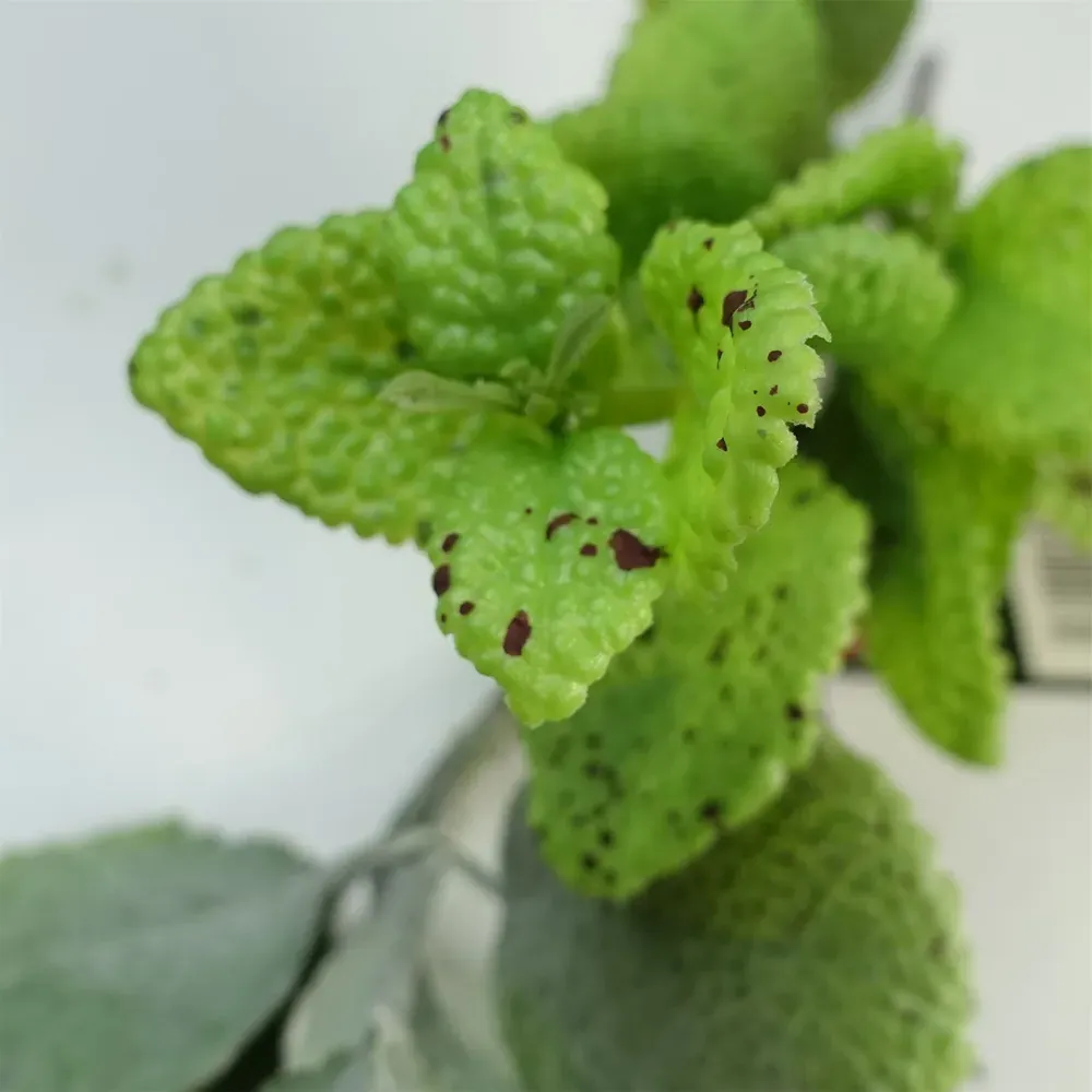 Mint Leaf Hanging Artificial Garland 125cm - Green