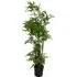 Moss Artificial Plant in Pot 150cm - Green
