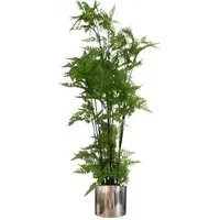 Moss Artificial Plant with Silver Planter 150cm - Green