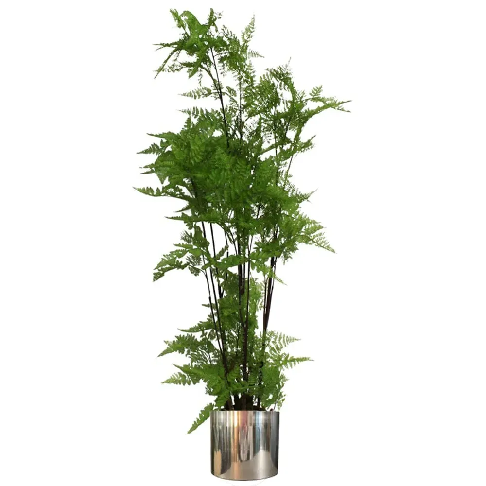 Moss Artificial Plant with Silver Planter 150cm - Green