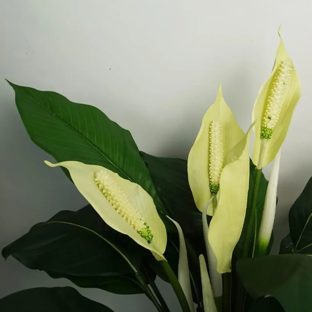 Peace Lily Artificial Plant in Pot - White