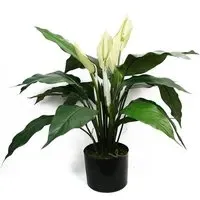 Peace Lily Artificial Plant in Pot - White