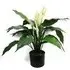 Peace Lily Artificial Plant in Pot - White