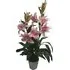 Pink and White Lily Stargazer Artificial Plant in Pot