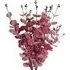 Pink Eucalyptus Artificial Foliage Stem 6 Pack - Pink