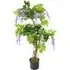 Purple Wisteria Artificial Tree in Pot - Green