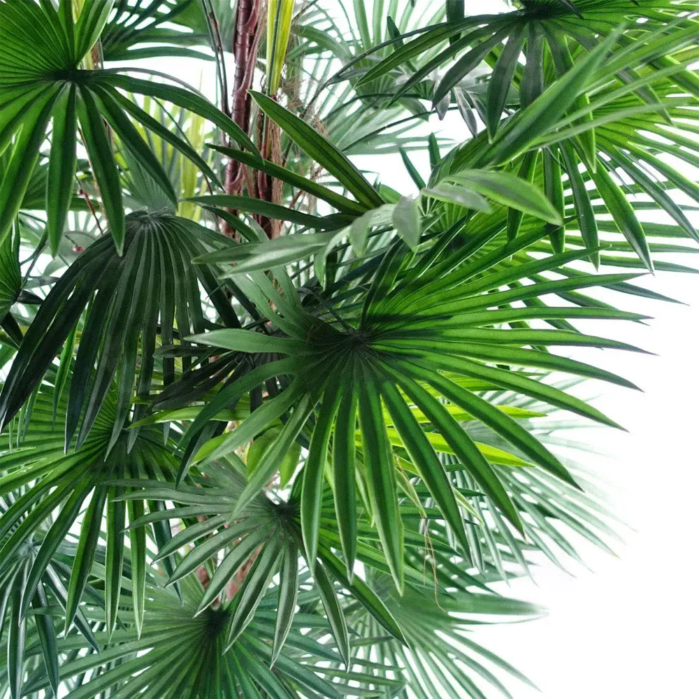 Raphis Palm Artificial Tree 120cm - Green