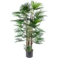 Raphis Palm Artificial Tree 120cm - Green