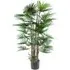 Raphis Palm Artificial Tree 120cm - Green