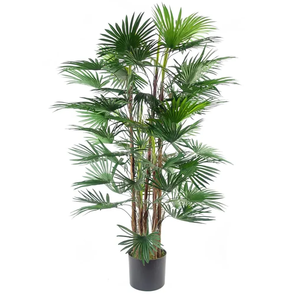 Raphis Palm Artificial Tree 120cm - Green