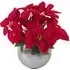 Red Poinsettia Artificial Plant in Silver Planter - 40cm