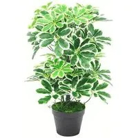 Schefflera Arboricola Artificial Plant in Pot 55cm - Green