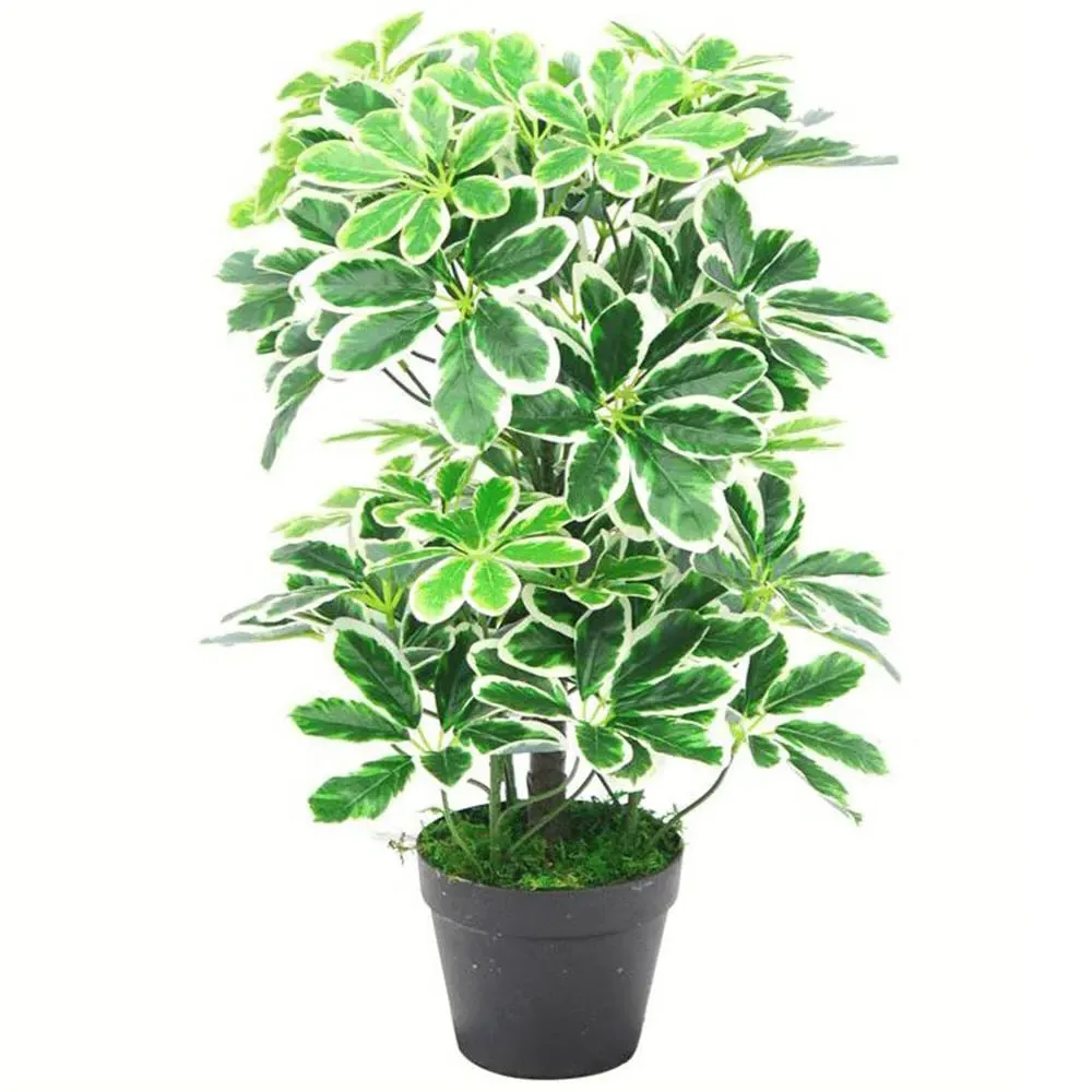 Schefflera Arboricola Artificial Plant in Pot 55cm - Green image