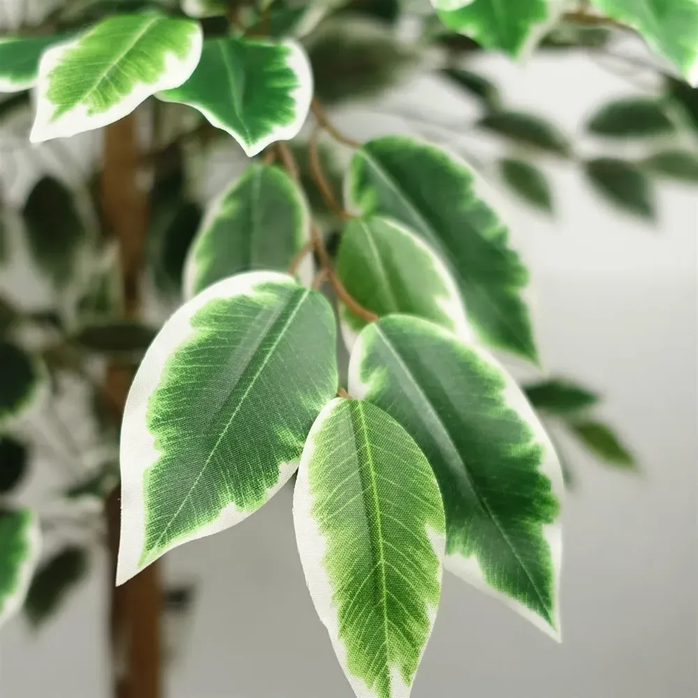 Silk Leaf Ficus Artificial Tree in Pot 150cm - Green