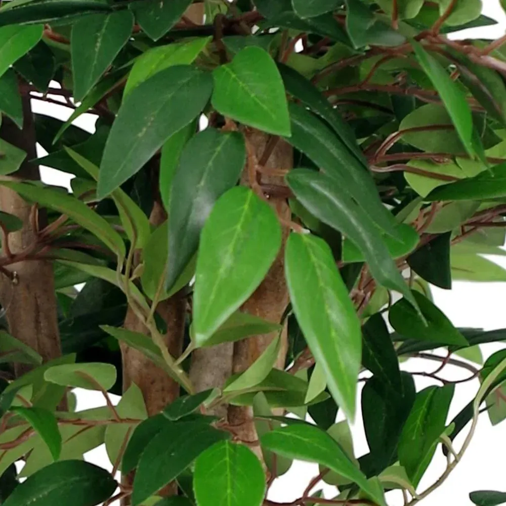 Smilax Sarsaparilla Artificial Tree in Pot 90cm - Green