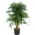 Smilax Sarsaparilla Artificial Tree in Pot 90cm - Green