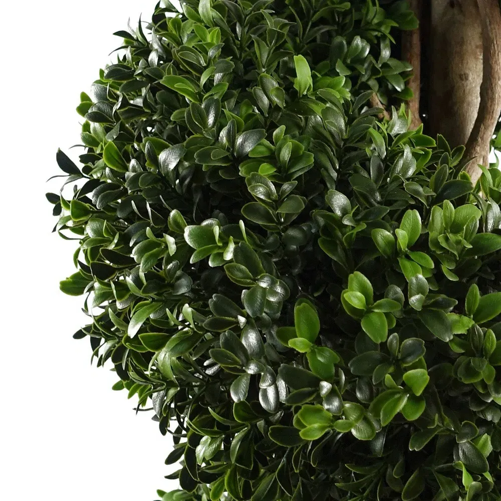 Spiral Buxus Topiary Tree - Green