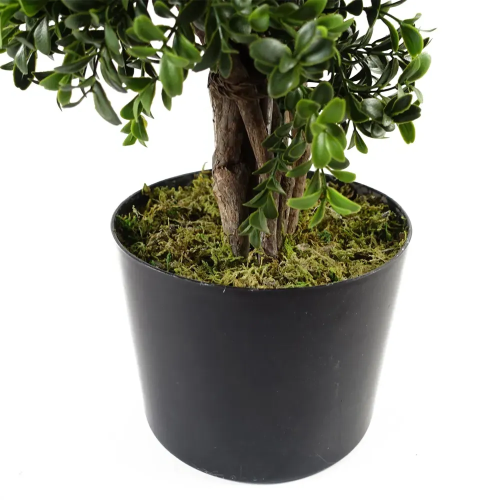 Spiral Buxus Topiary Tree - Green