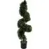 Spiral Buxus Topiary Tree - Green