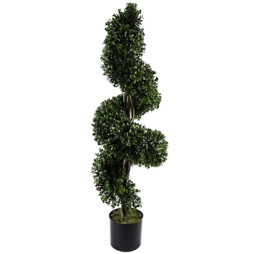 Spiral Buxus Topiary Tree - Green image