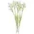 Starflower Artificial Stem Flowers 6 Pack - White