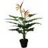 Strelitzia Artificial Plant in Pot 70cm - Green