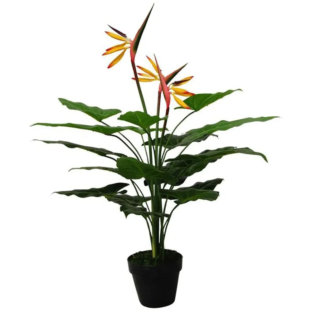 Strelitzia Artificial Plant in Pot 70cm - Green