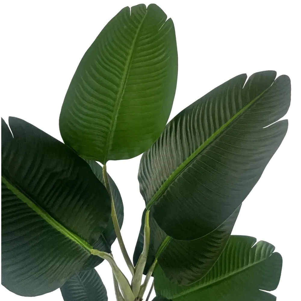 Traveller Banana Palm Artificial Tree 150cm - Green