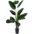 Traveller Banana Palm Artificial Tree 150cm - Green