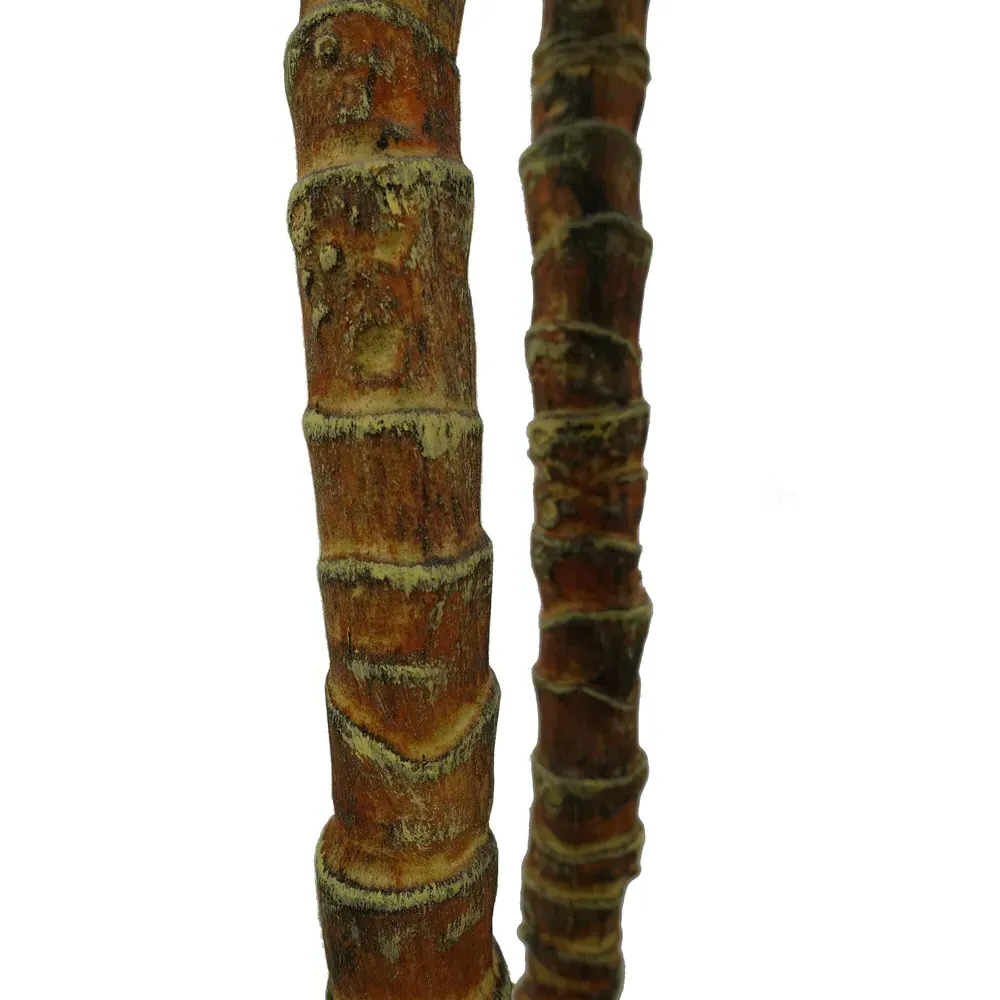 Triple Yukka Artificial Tree 170cm - Green