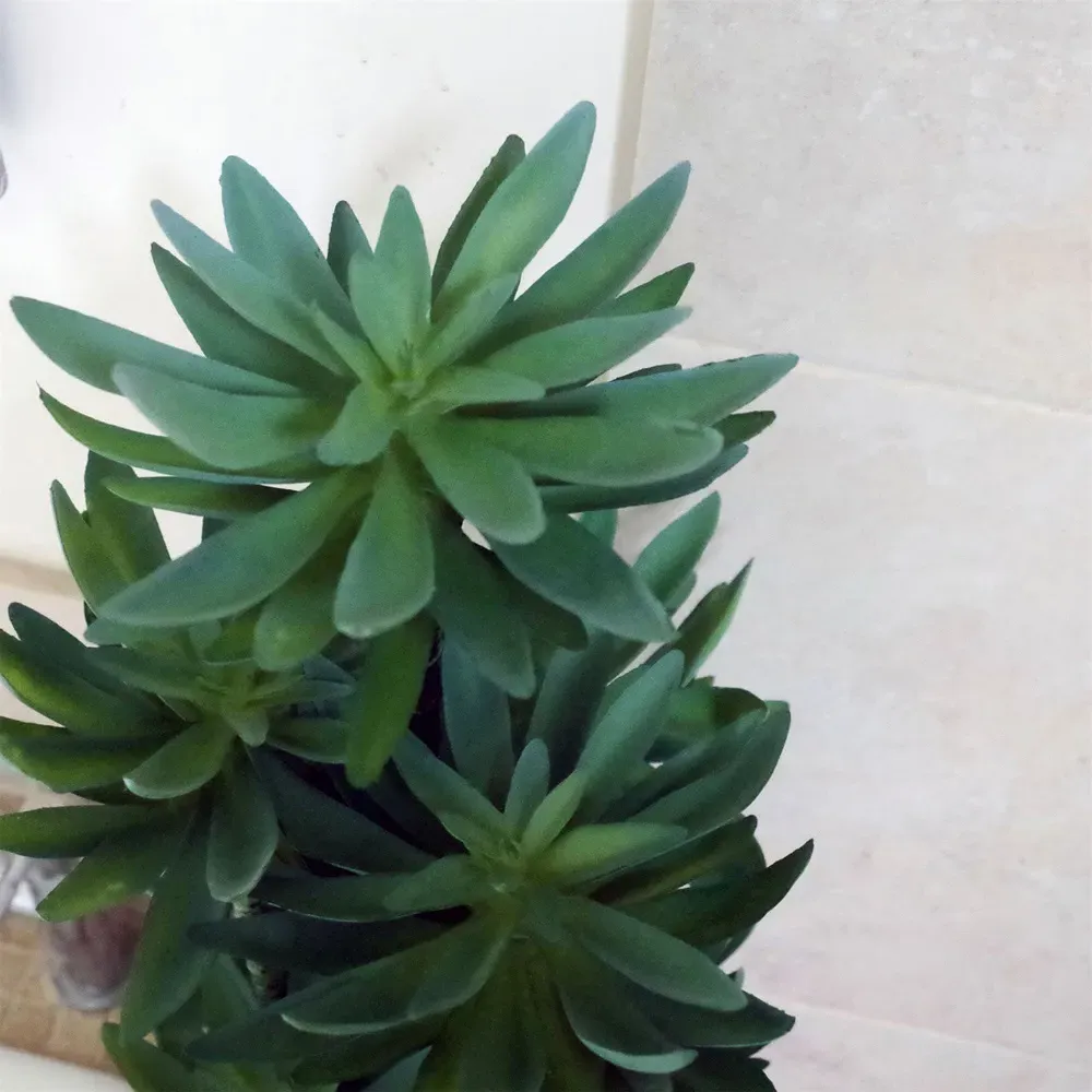 Tropical Yukka Artificial Plant in Planter 60cm - Black