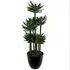 Tropical Yukka Artificial Plant in Planter 60cm - Black