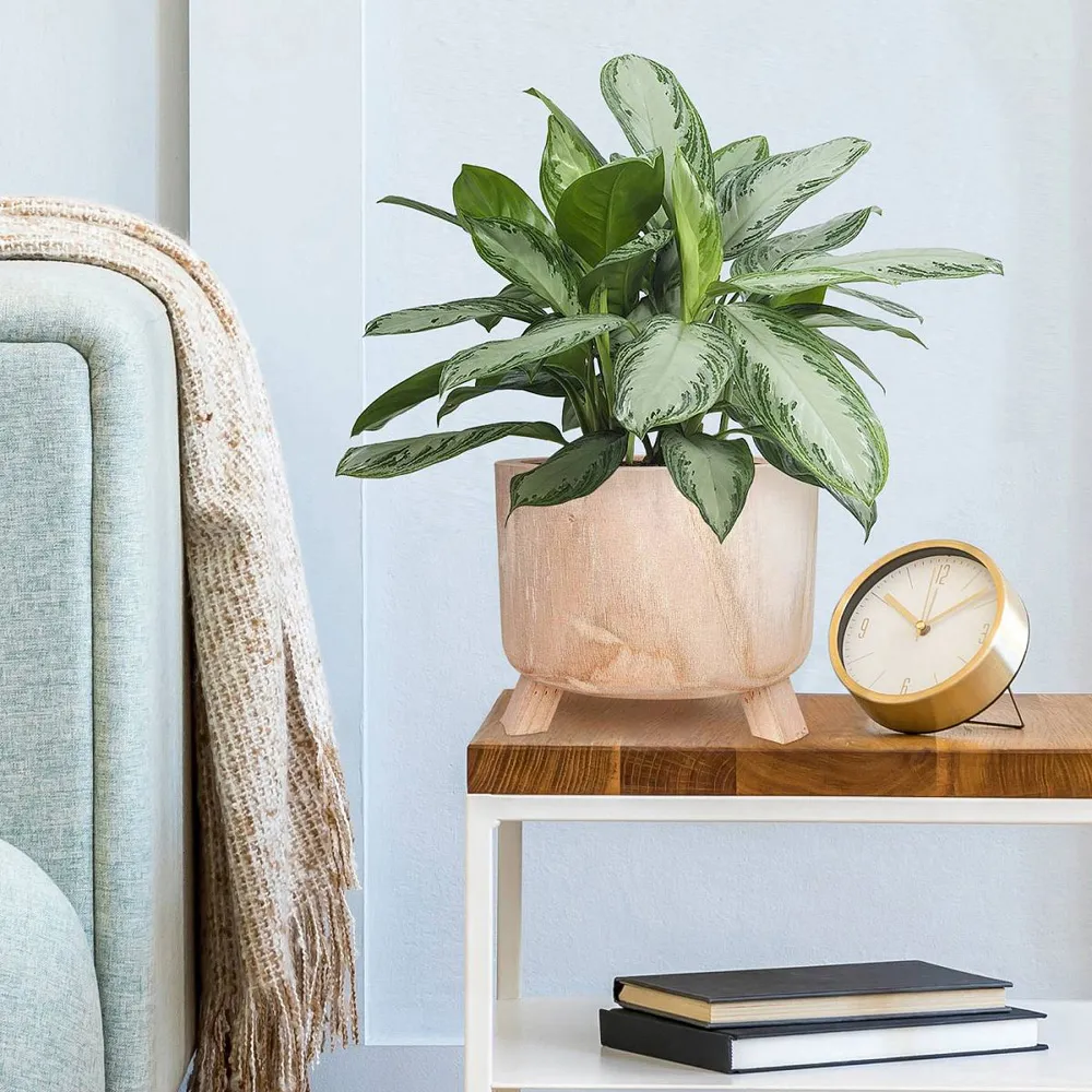 Hortico Grower Round Plant Pot 2 Pack - Brown, Hardwood