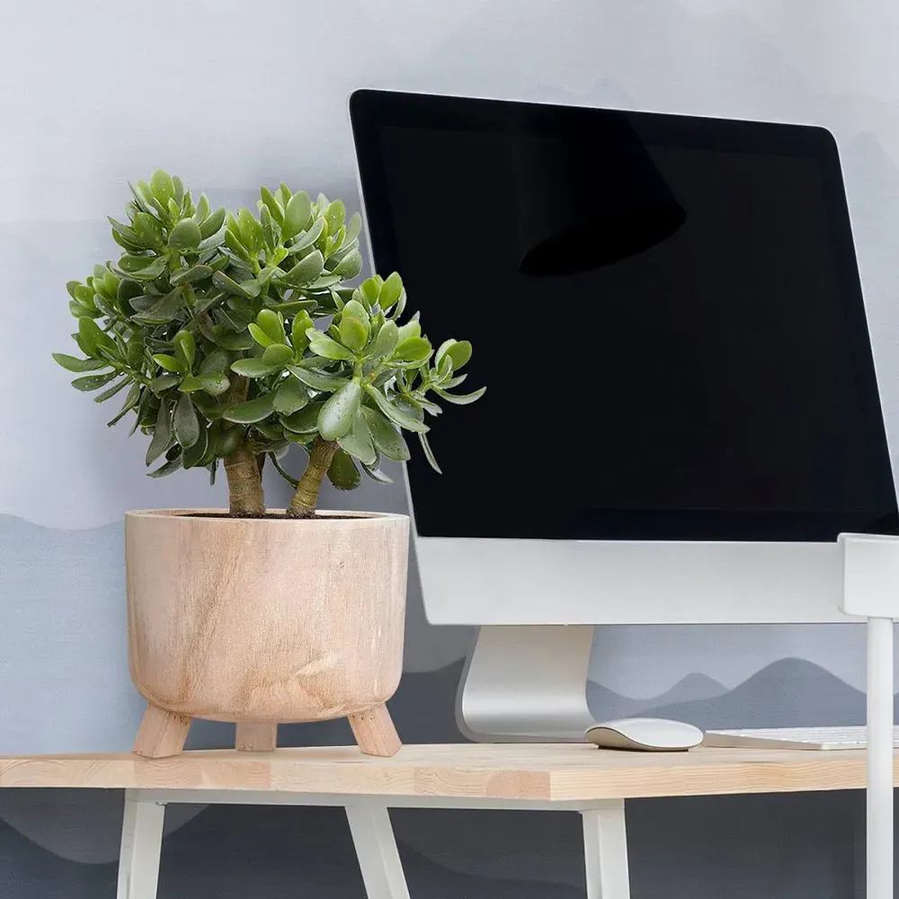 Hortico Grower Round Plant Pot 2 Pack - Brown, Hardwood