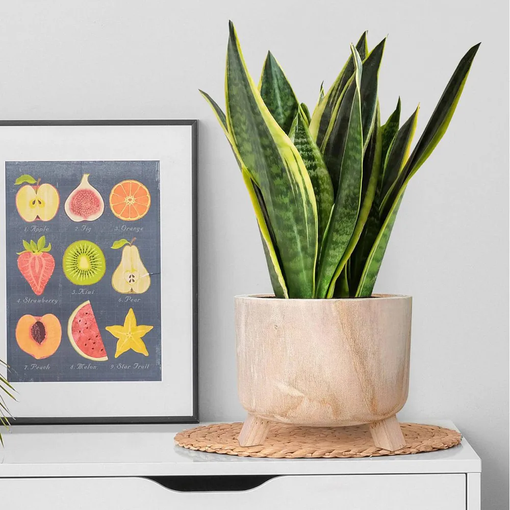 Hortico Grower Round Plant Pot 2 Pack - Brown, Hardwood