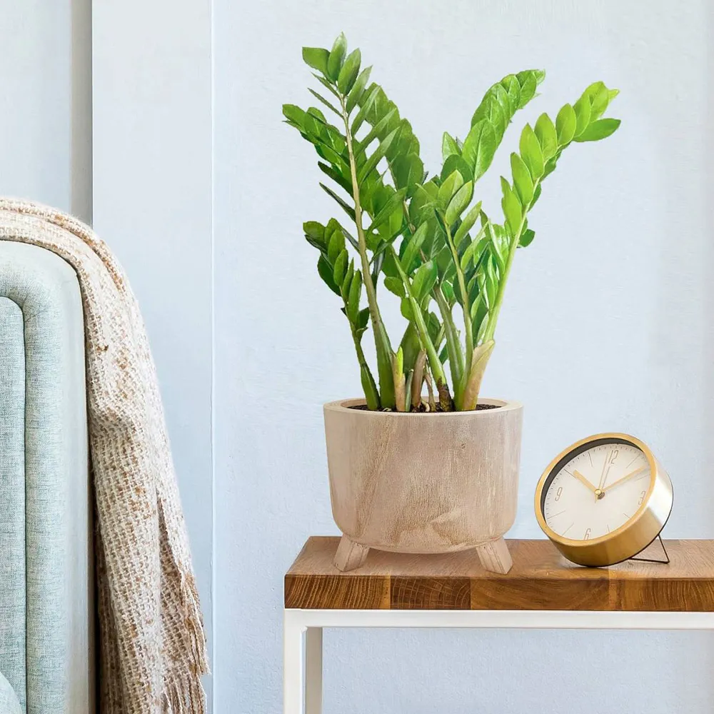 Hortico Grower Round Plant Pot 2 Pack - Brown, Hardwood