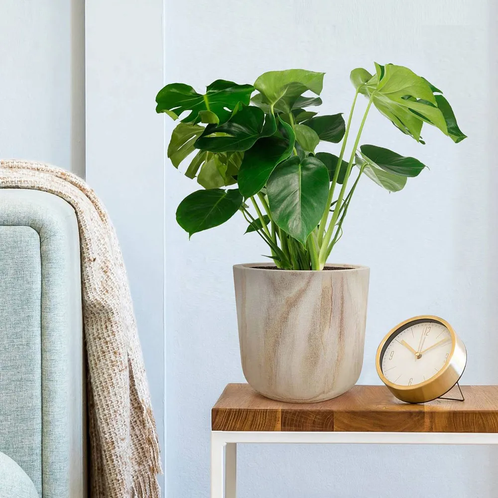 LECHUZA Hortico Craft Round Plant Pot 2 Pack - Brown, Hardwood